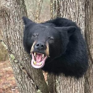 Meet your Posher, Kenneth